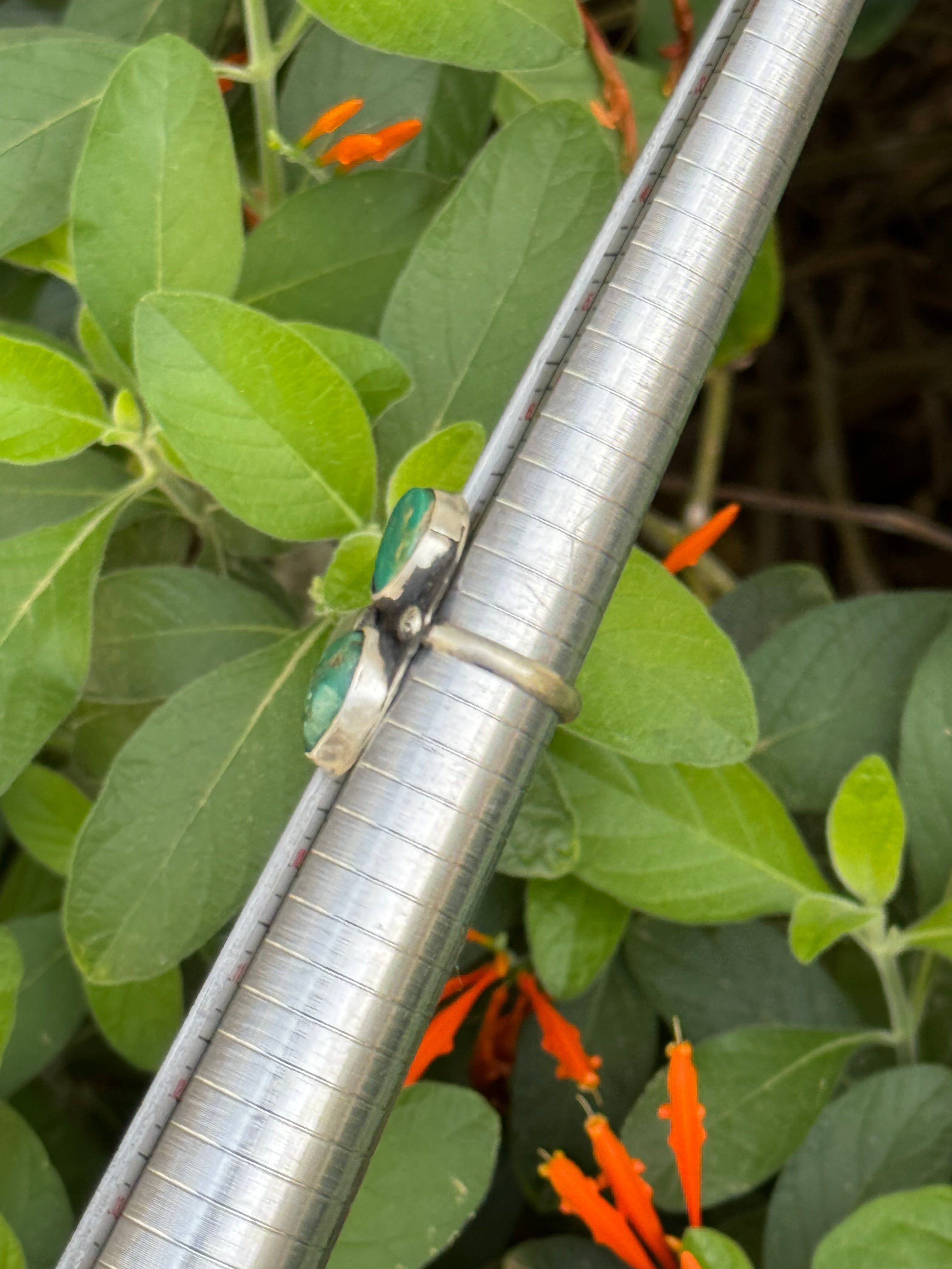 Royston Turquoise Ring Size 8
